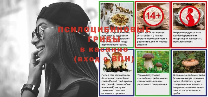 Галлюциногенные грибы прущие грибы  Вяземский 